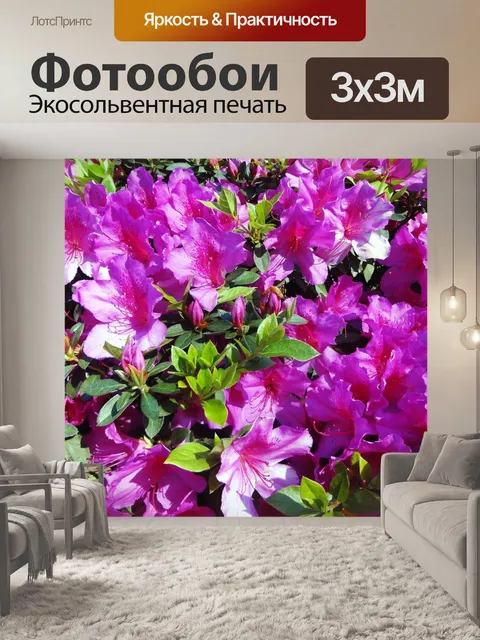 Фотообои Розовая азалия