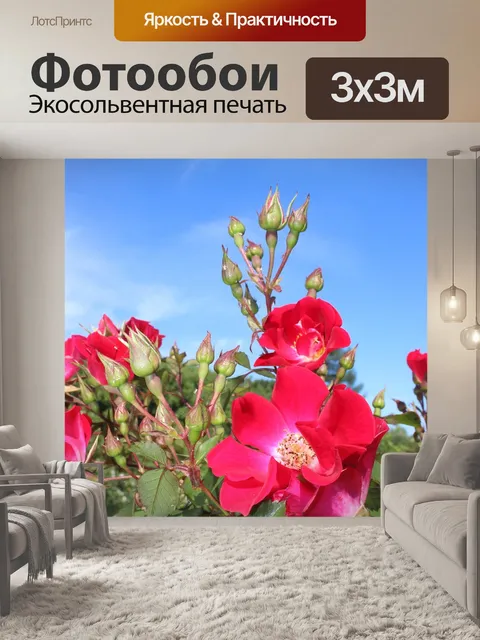 Фотообои Цветок