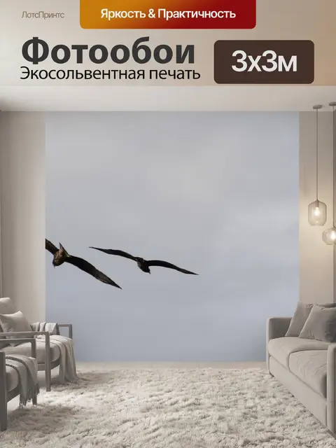 Фотообои Ястребы