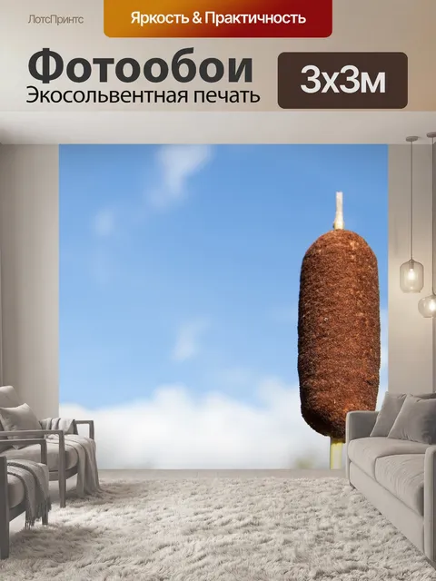 Фотообои Камыш летом на фоне голубого неба