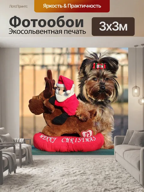 Фотообои Йоркширский терьер