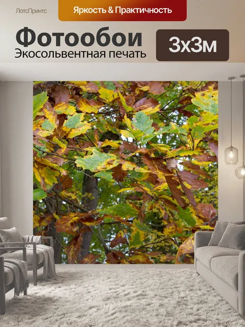 Фотообои Аутум в ботаническом саду