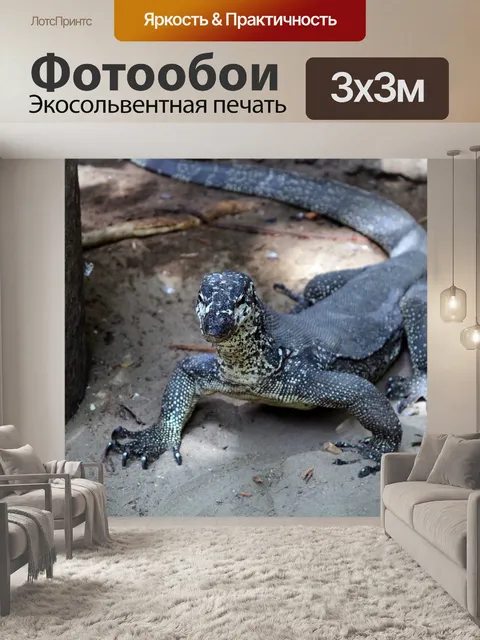 Фотообои Ящерица