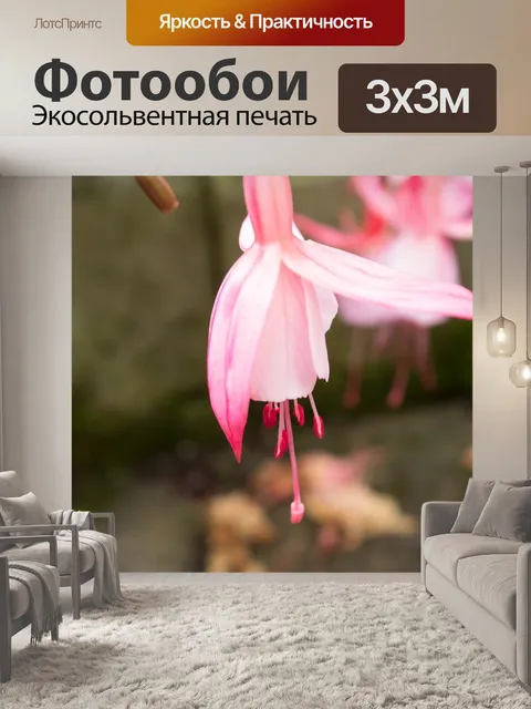 Фотообои Розовый цветок