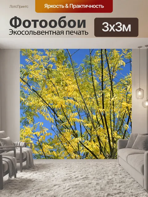 Фотообои Акация