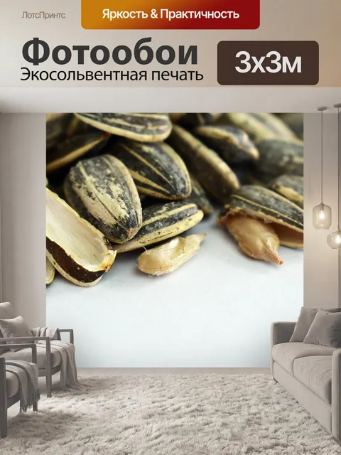 Фотообои Подсолнечник
