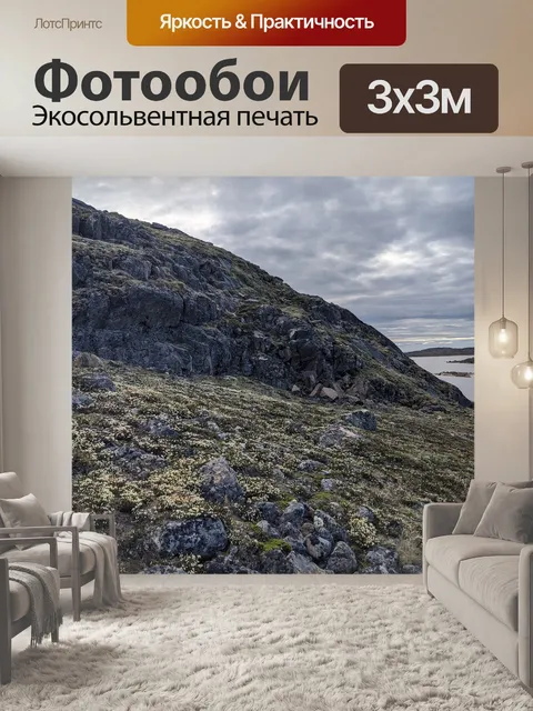 Фотообои Арктический