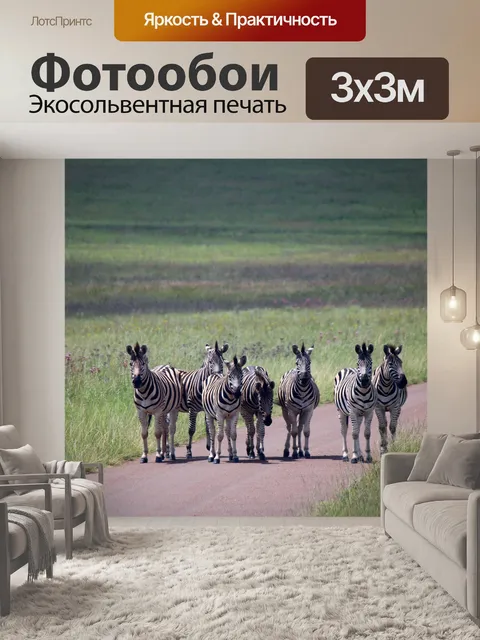 Фотообои группа зебр, стоящих на дороге