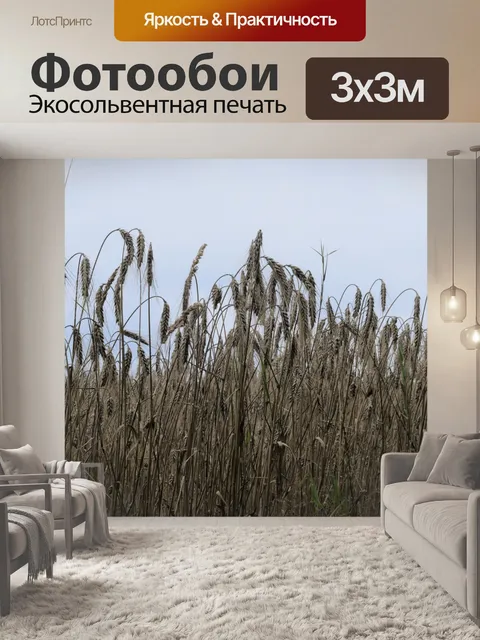 Фотообои Колосья пшеницы