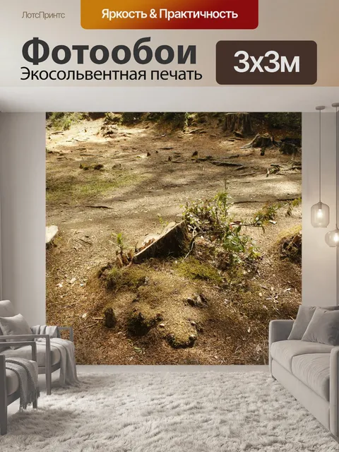 Фотообои Вырубка леса