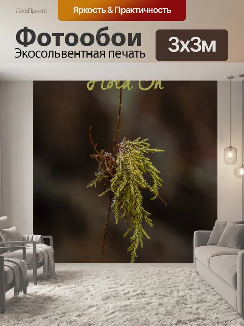 Фотообои Часть дерева висит в воздухе