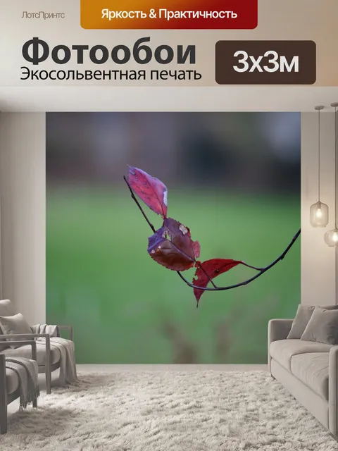 Фотообои Выходит на ветку.