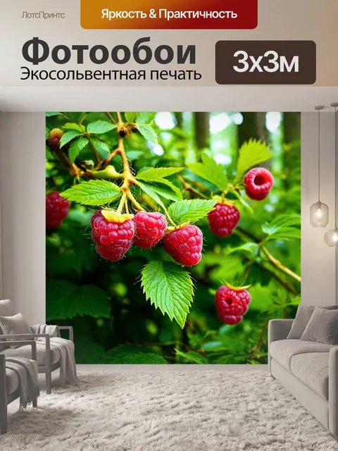 Фотообои лес с малиновыми ягодами, растущими на кустах и окруженными зелеными листьями