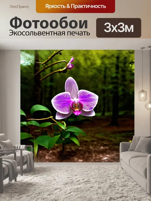 Фотообои нежная орхидея, цветущая в тени густого леса, её лепестки словно изящные крылья бабочки