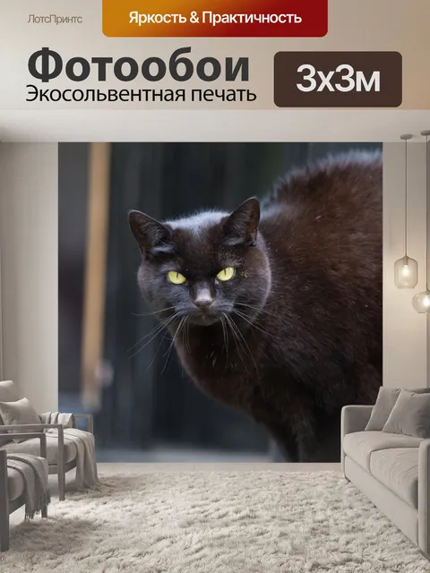 Фотообои Черная кошка