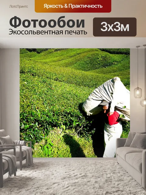 Фотообои Чайная плантация