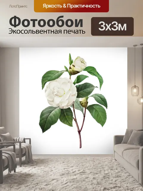 Фотообои Цветок Камелия Винтаж Клипарт
