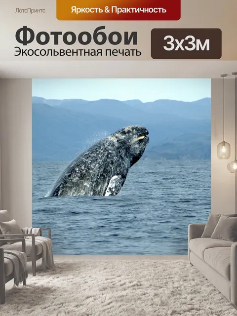 Фотообои Кит