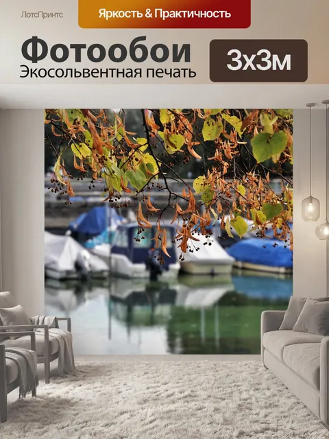 Фотообои Вид