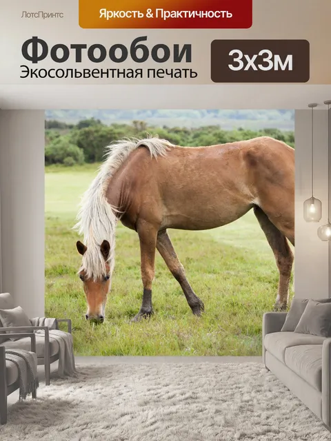 Фотообои Лошадь