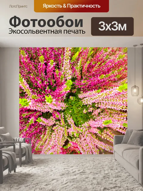 Фотообои красочный вереск