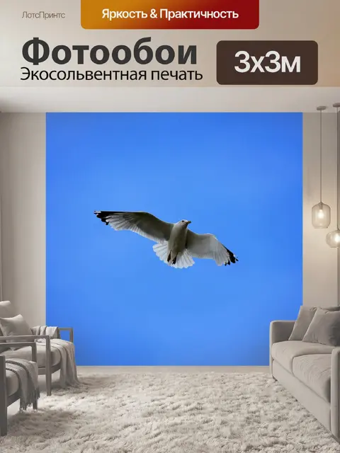 Фотообои Чайка в голубое небо