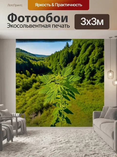 Фотообои крапива, лекарственная трава, снятая в технике аэрофотографии с использованием квадрокоптера и…