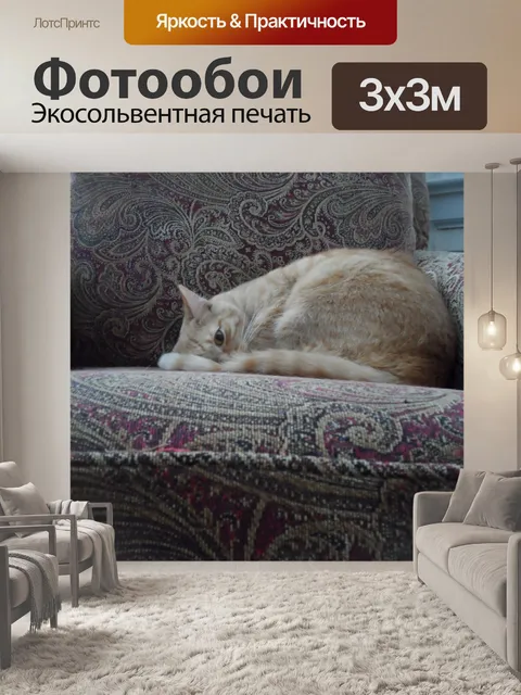 Фотообои Кот в председателя