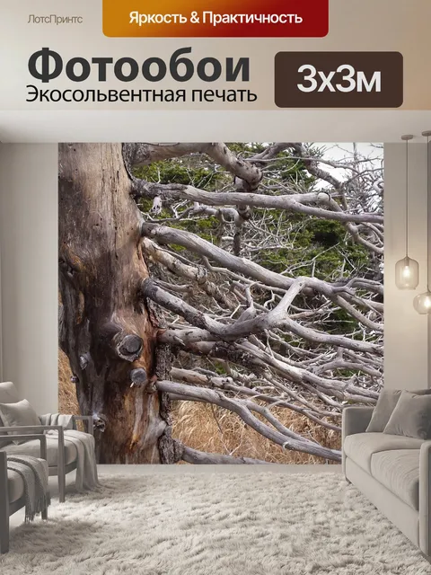Фотообои Дерево
