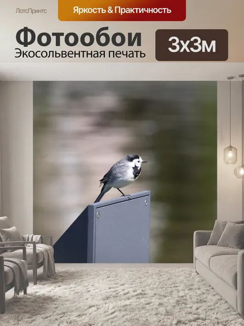 Фотообои Птица
