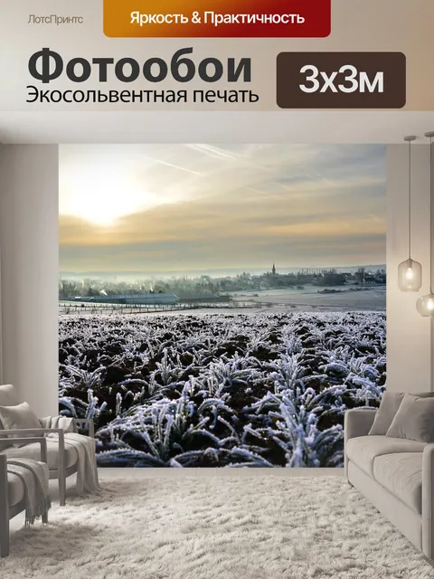 Фотообои Зима