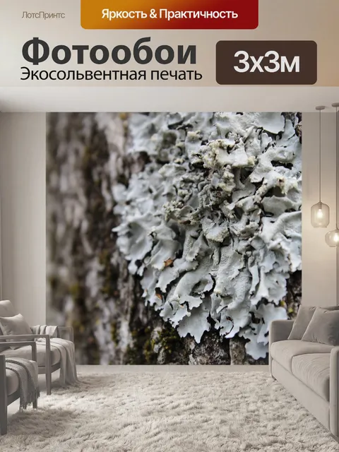 Фотообои Лишайник