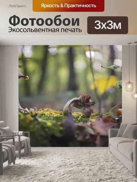 Фотообои Грибы