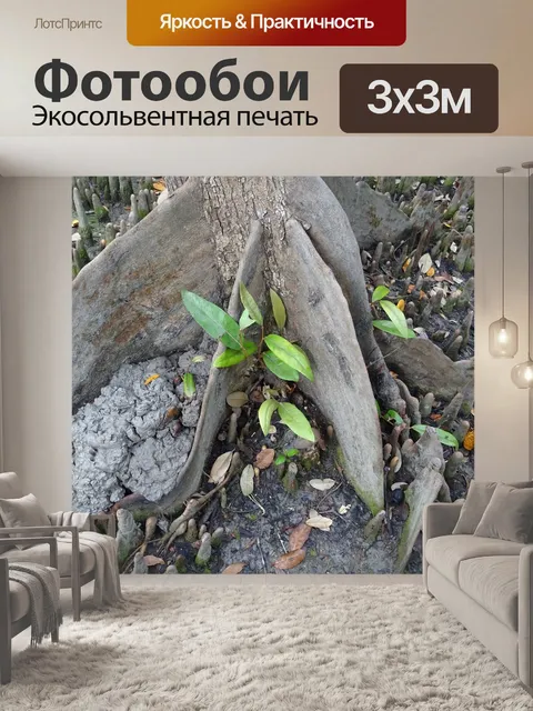 Фотообои Сундари