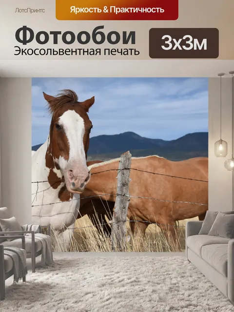 Фотообои лошадь