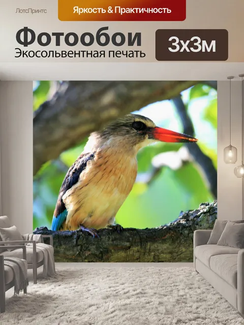 Фотообои коричневый с капюшоном King Fisher (3)