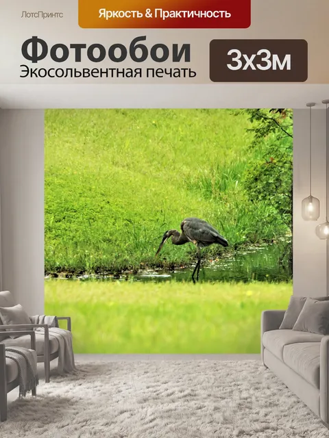 Фотообои Желтая коронованная ночная цапля Рыбалка