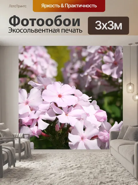 Фотообои Флокс