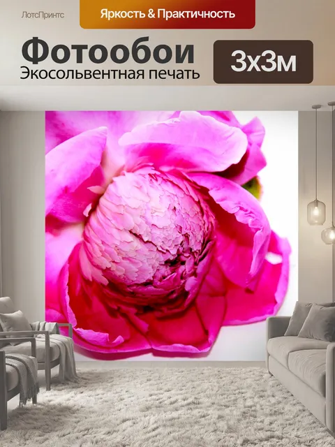 Фотообои Цветок