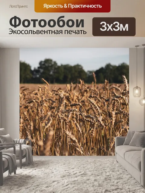 Фотообои Пшеница