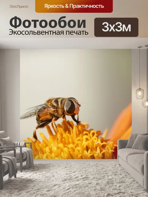 Фотообои Журчалки