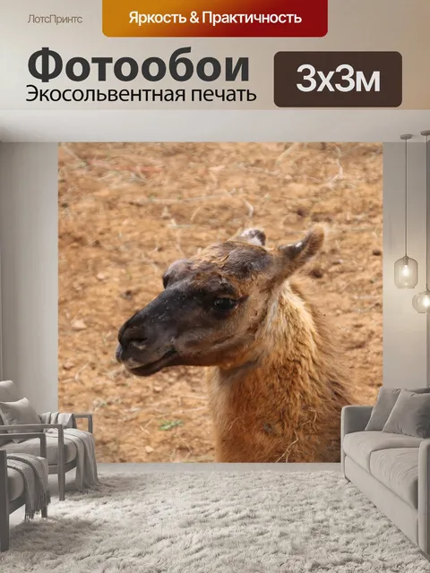 Фотообои Природа