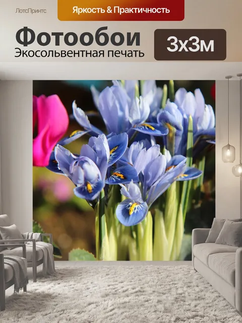 Фотообои Ирис синий