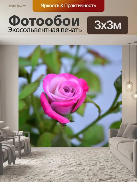 Фотообои Цветок и листва 1