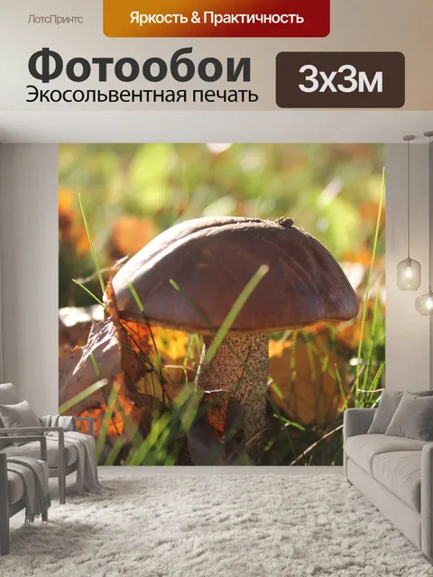 Фотообои Коричневый грибы