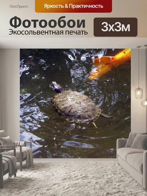 Фотообои Черепаха в пруду