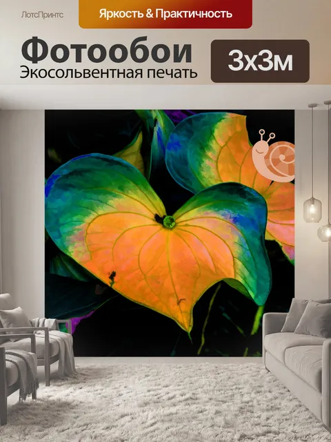 Фотообои Улитка на листе