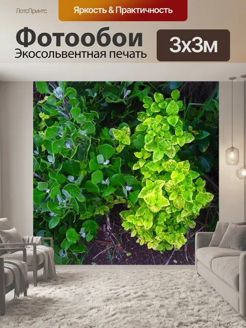 Фотообои прибрежная растительность в зеленых тона