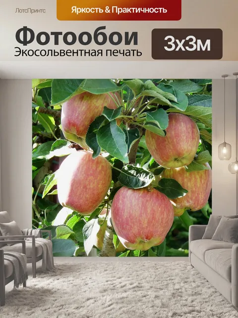 Фотообои Яблоки