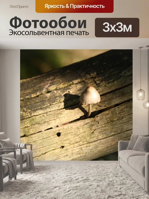 Фотообои Осень